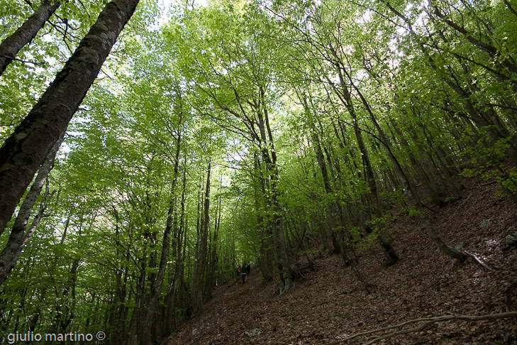 IMG_3506 | 1/30 sec a f / 9,0 - 10 mm - ISO 160