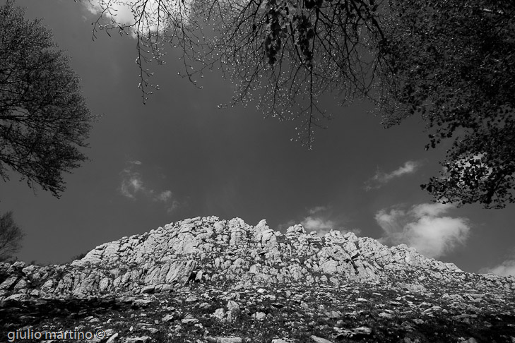 IMG_3510 | 1/125 sec a f / 16 - 10 mm - ISO 125