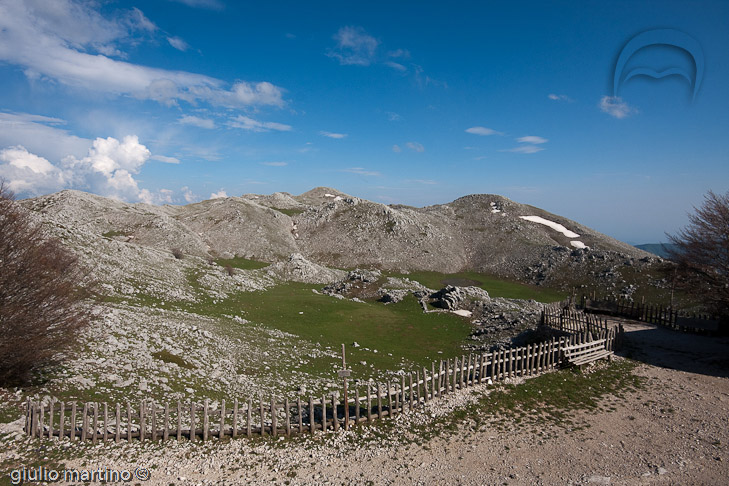 IMG_3540 | 1/200 sec a f / 13 - 11 mm - ISO 160