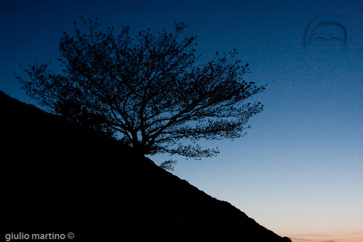 IMG_3580 | 1/8 sec a f / 5,6 - 33 mm - ISO 1600