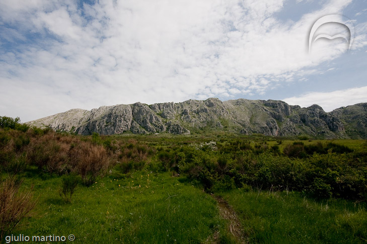IMG_3584 | 1/640 sec a f / 13 - 10 mm - ISO 200