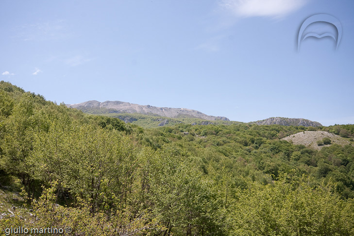 IMG_3621 | 1/200 sec a f / 11 - 20 mm - ISO 200