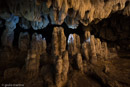  Escursione Grotta del Caprone Montella, da Varo della Spina alla grotta del Caprone  09/11/2014 - giulio martino ©
